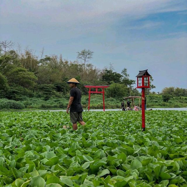 KALINAMPU NATURAL PARK - YOGYAKARTA