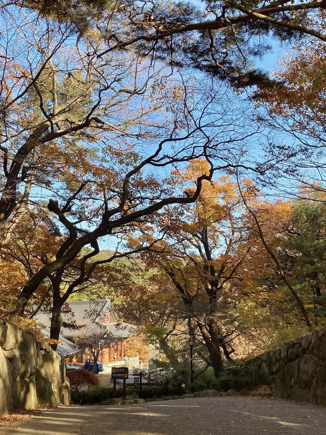 단풍이 아름다운 동화사 🍁🍂
