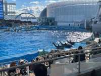 名古屋港水族館といえば🐬【イルカショー】＆名古屋港のレストラン