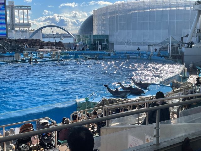 名古屋港水族館といえば🐬【イルカショー】＆名古屋港のレストラン