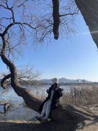 겨울에도 아름다운 남양주 :: 물의 정원