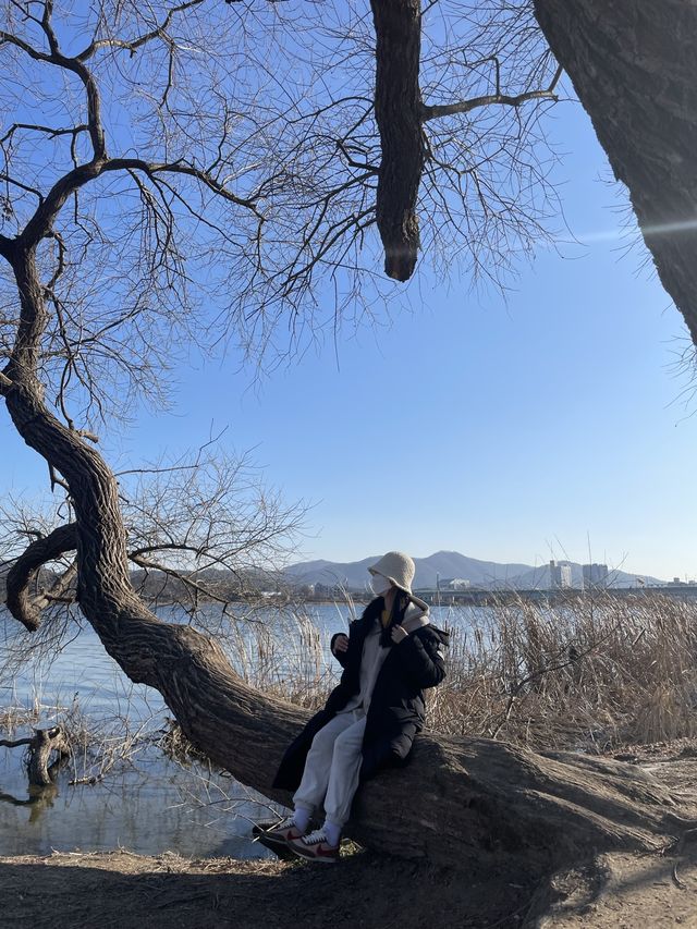 겨울에도 아름다운 남양주 :: 물의 정원
