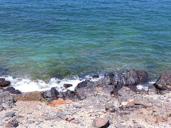 전라북도편 제주도, 부안 바다여행 🌊
