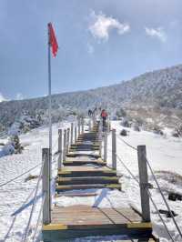 겨울 눈꽃산행 [한라산]