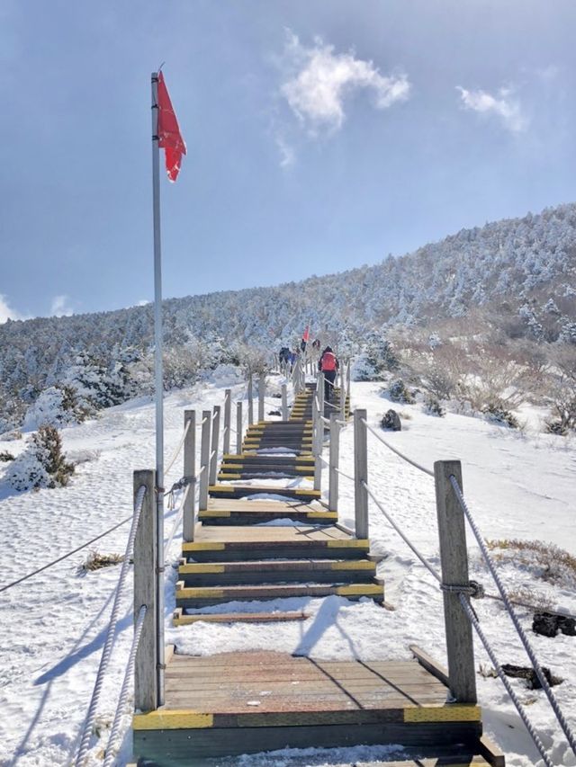 겨울 눈꽃산행 [한라산]