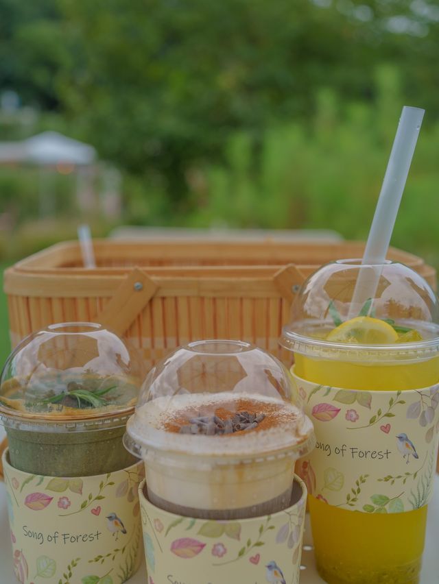 계절 꽃으로 가득한 뷰좋은 카페 원주 사진정원🌼