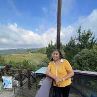 Dahilayan Forest Park Resort 🍃