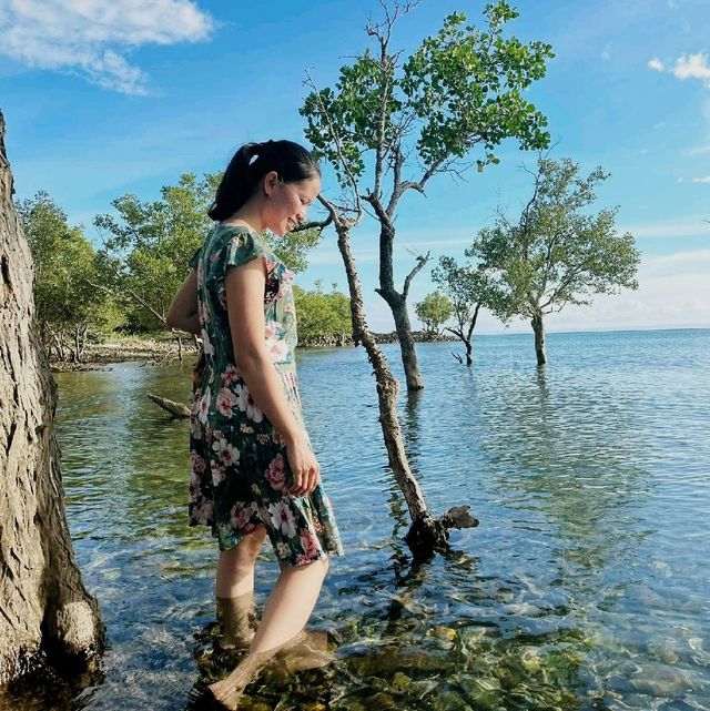 Enjoy the Ocean with Mangroves  in Ragay! 