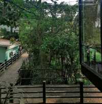 ปั่นจักรยานชมวิวที่บางกระเจ้า