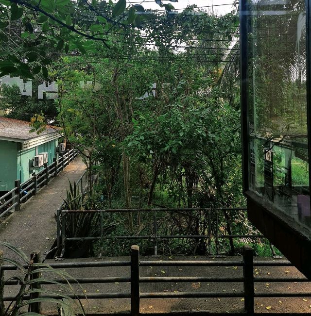 ปั่นจักรยานชมวิวที่บางกระเจ้า