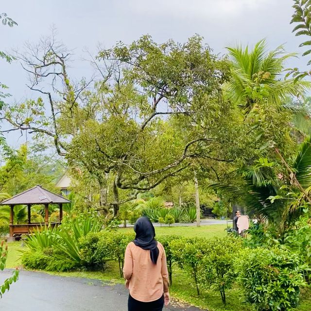 SUGEH HILL RESORT