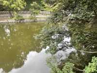 参道がものすごく長い！氷川神社！