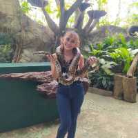 Davao Crocodile Park and Zoo 🐾