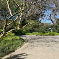 royal botanic gardens