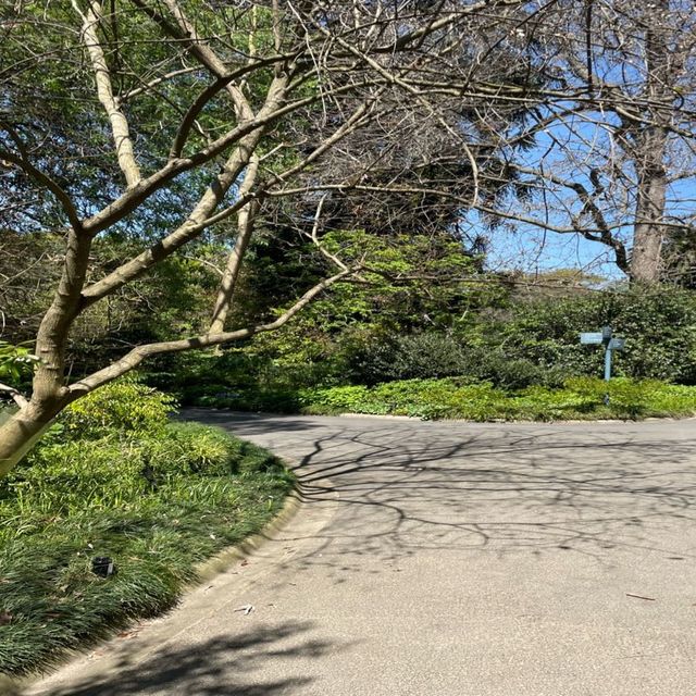 royal botanic gardens 