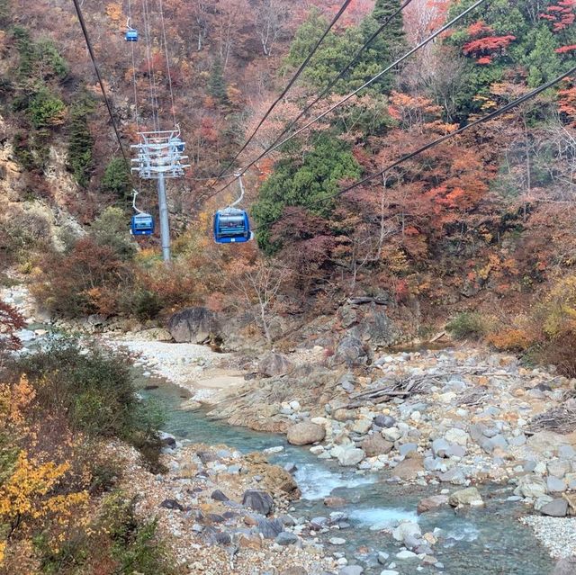 苗場はもう晩秋🍁日本最長ゴンドラ