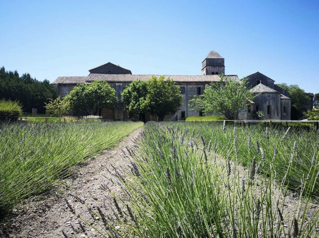 Monastery Saint-Paul de Mausole 