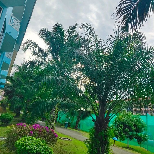 BEST ONE STOP RESORT