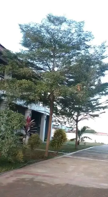 Thavonesouk Guesthouse 