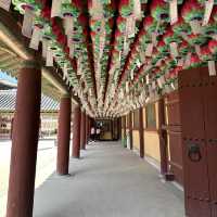 Gyeongju , is a must place to enjoy autumn 🍂