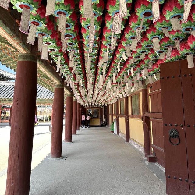 Gyeongju , is a must place to enjoy autumn 🍂