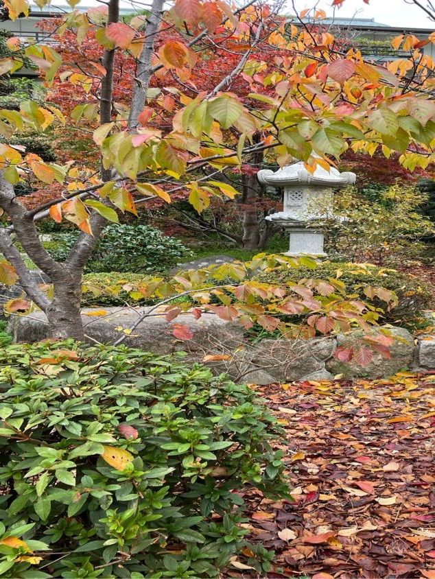 【福岡】福岡市内で寺院巡り