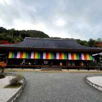 京都の風情がぎゅっと凝縮【二尊院】✨