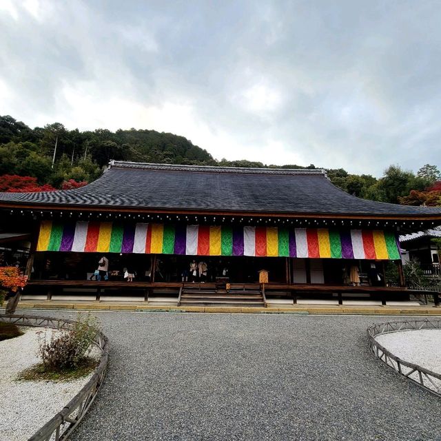 京都の風情がぎゅっと凝縮【二尊院】✨