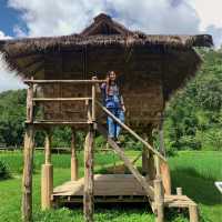 Walk camp ไร่อ้อมกอดภูเขา ไร่แห่งการแบ่งปัน