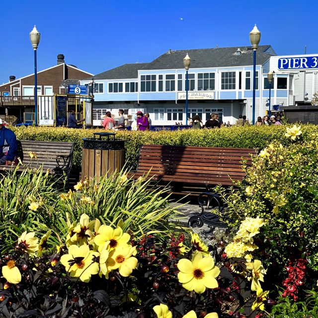 Beautiful Pier 39, San Francisco 