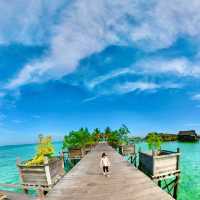 Blue Skies-Green Ocean-White Sandy Beach 🏝️ 