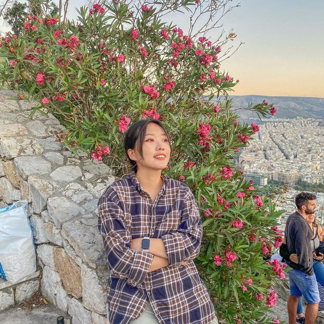 리카베투스 노을❤️
