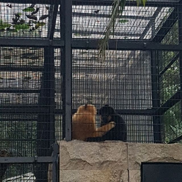 Hong Kong Zoological and Botanical Gardens