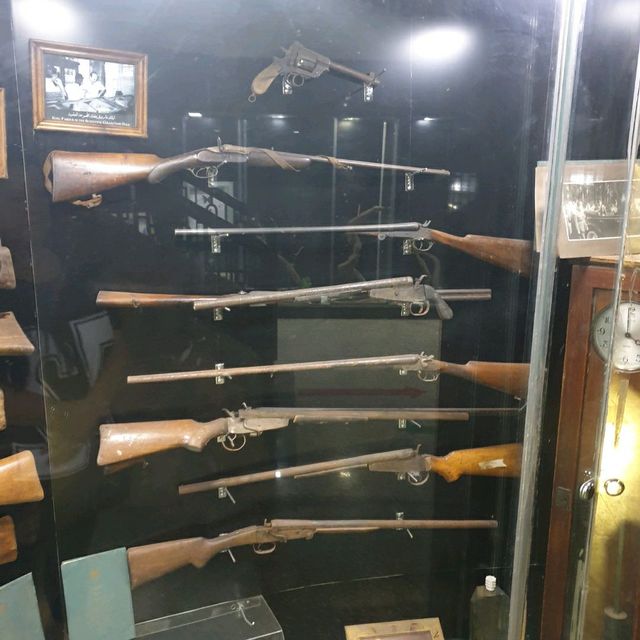 Amazing zooalogical museum 