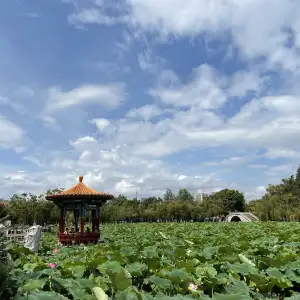 Kunming- Daguan Park 