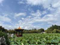 Kunming- Daguan Park 