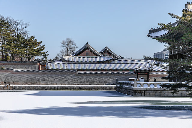 서울 겨울 여행 "경복궁 설경"