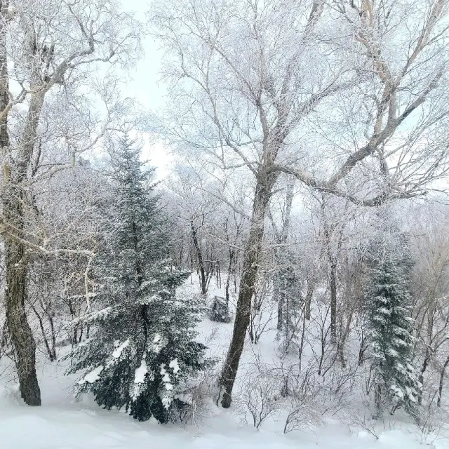 Amateur hour at Yabuli Ski Resort