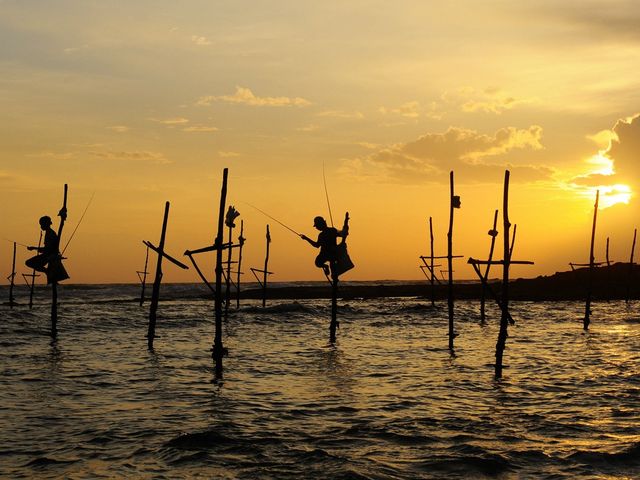 Mirissa Beachlife - Sri Lanka