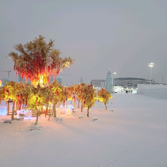 🌨 Harbin Ice and Snow World ☃️ ❄️ 🌬