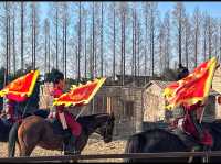 Live Horse Show in Chongming Island.