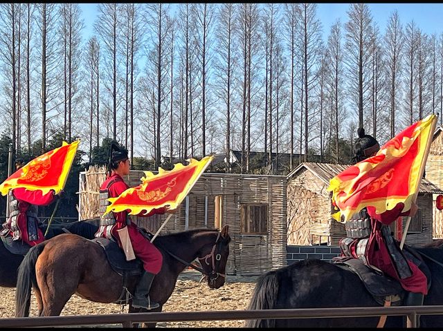 Live Horse Show in Chongming Island.