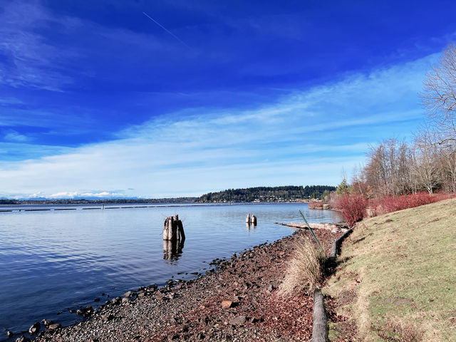 Seattle's Renton Washington Lakefront Park.