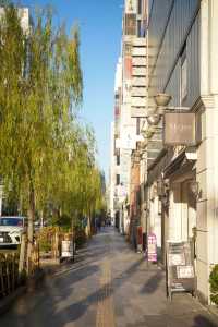 Tokyo hotel 🏨 is just a few minutes' walk away from the main Ginza district.