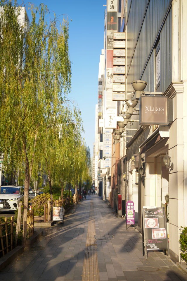 Tokyo hotel 🏨 is just a few minutes' walk away from the main Ginza district.