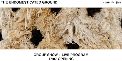 Undomesticated Ground_Opening | Centrale Fies