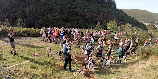 'Beat the Black Dog' 12km canitrail and trail run in aid of PAPYRUS | Halo Ogmore Valley Life Centre