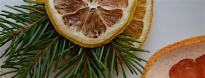 Hygge at Home: Creating a Cozy Lifestyle | Citrus Spice Decor | Clare, MI | Jay's & Webber Wildlife and Education Center