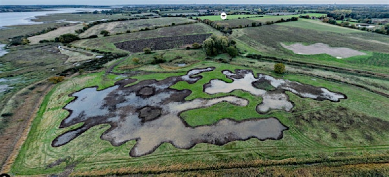 Martlesham Wilds - Two years on (E2P2570) | St Michael & All Angels Church, Martlesham