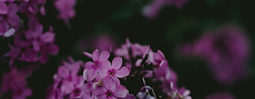 Reflect on Your Changing Seasons on the New Pink Moon | The Space Within